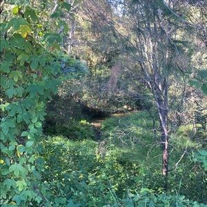 Meet your Posher, Georgie